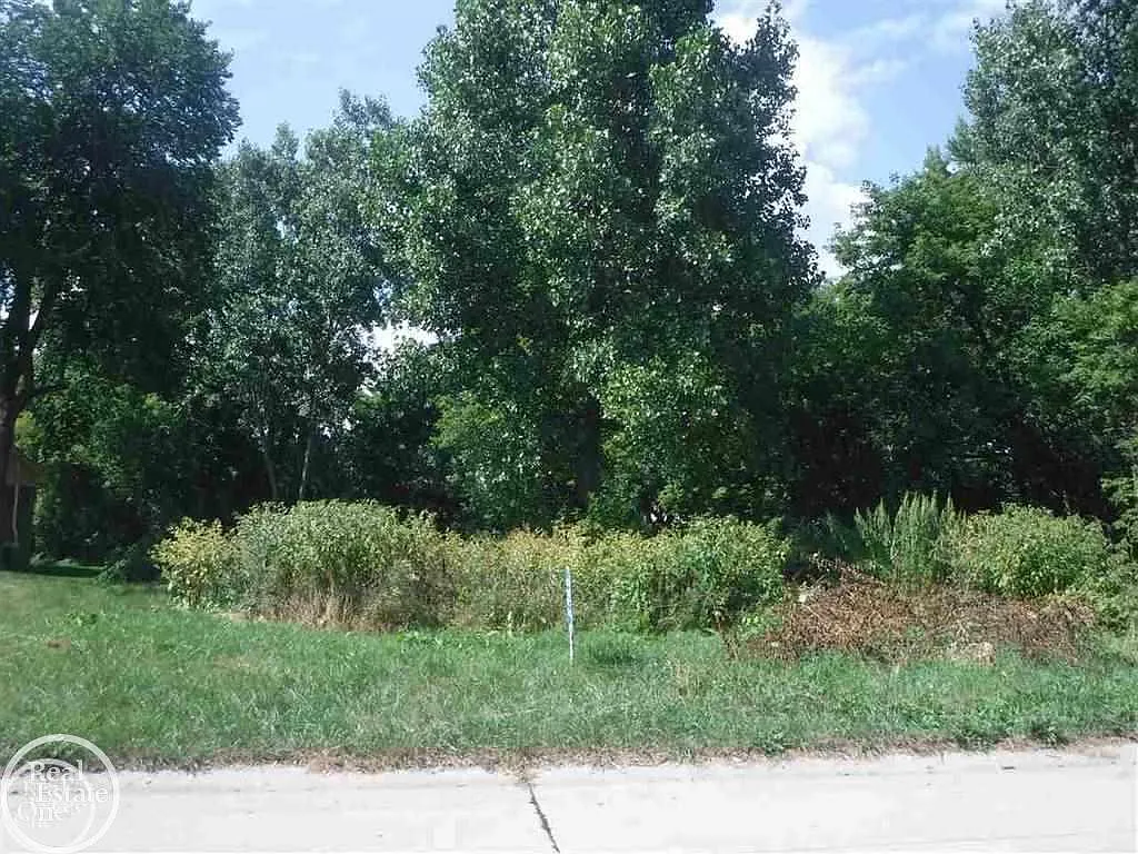 0 Delta Dr photo 1