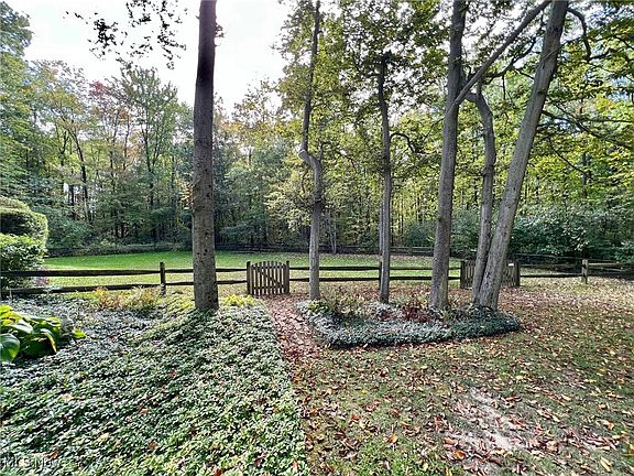 4th image of 10375 Pinegate Dr