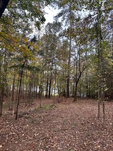 1431 ROCK POINT Cove, Tignall, GA, 30668