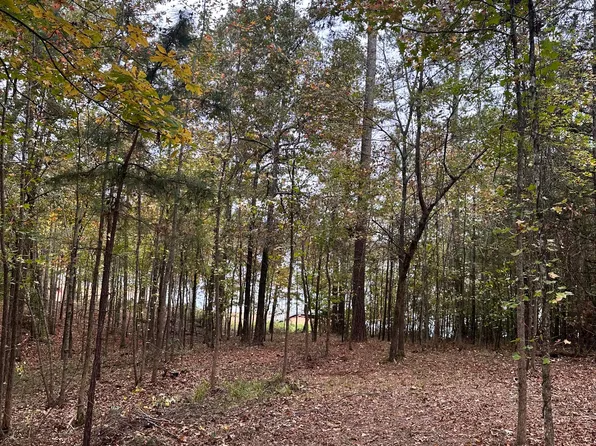 1431 ROCK POINT Cove, Tignall, GA 30668