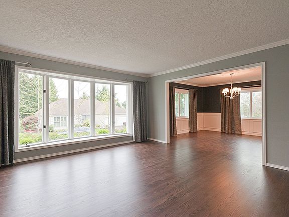 Living Room Windows