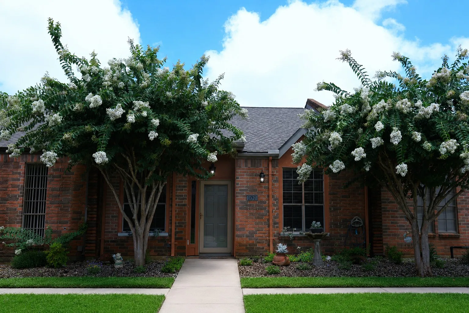 107 Manor Place TX - 1 — Photo 1