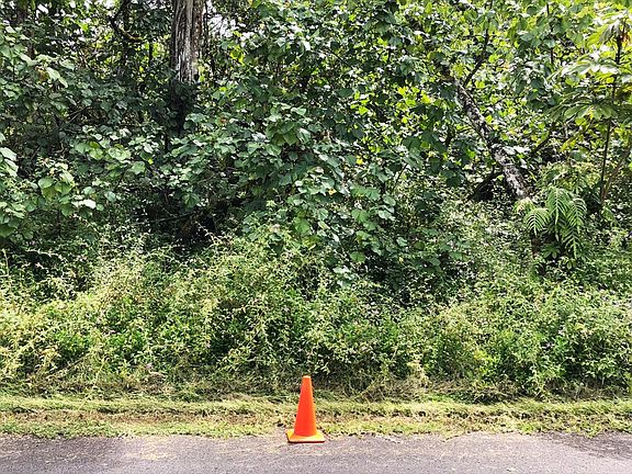2nd image of Niuhi St Lot 6