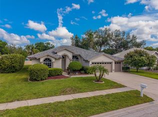 3909 Talah Dr, Palm Harbor, FL 34684