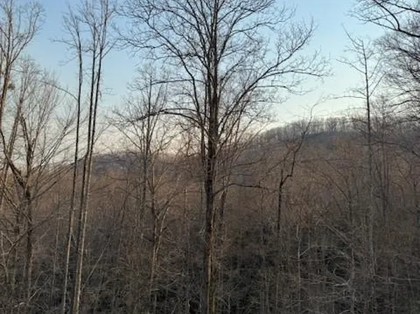 910 Morgan Hill Rd, Black Mountain, NC 28711