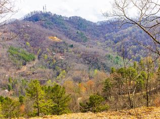 LOT 1 Butternut Rdg, Bryson City, NC 28713