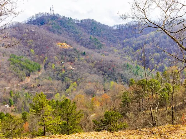 LOT 1 Butternut Rdg, Bryson City, NC 28713