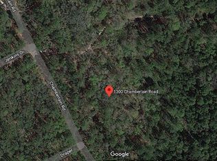 1300 Chamberlain Rd, Satsuma, FL 32189