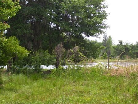 Pond View