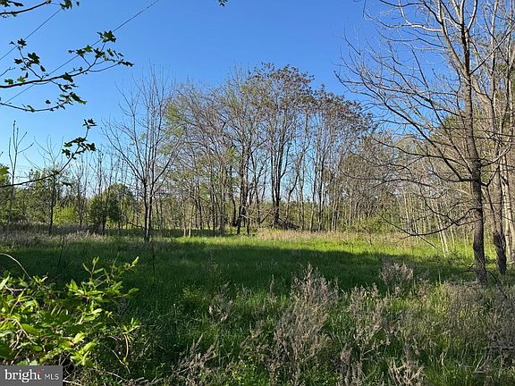 5th image of 9790 Ironsides Rd