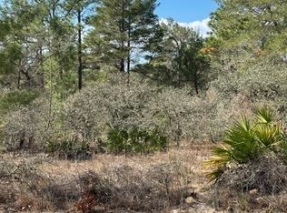 18 Heuchera Ct E, Homosassa, FL 34446