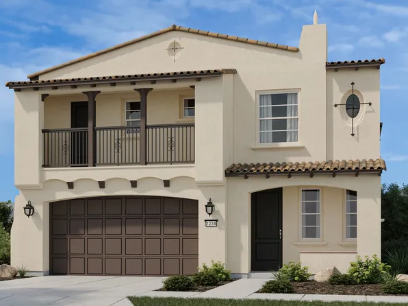 Plan 4 Plan, Citrus Oak