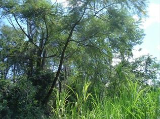 Holiday Rd LOT 666, Pahoa, HI 96778