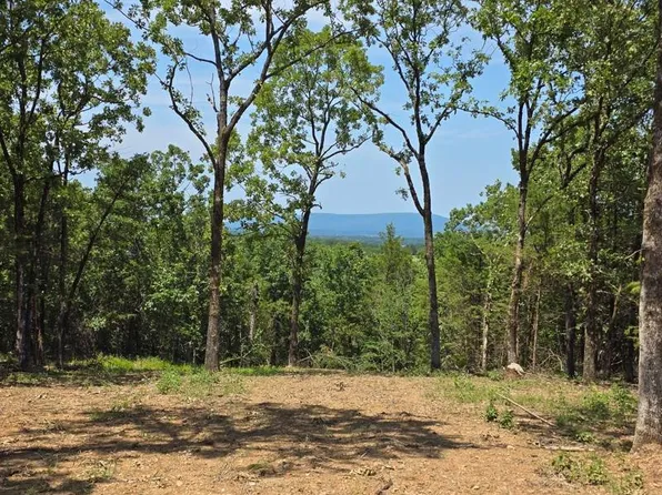 2 Potts Mountain Rd, Heavener, OK 74937