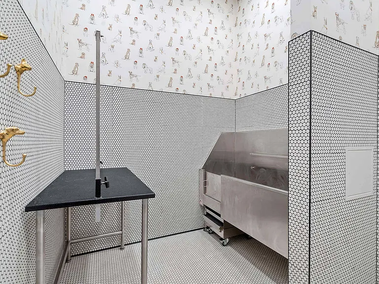 Pet Wash with Drying Stand, Pet Spa at The Hallon Luxury Apartments in Hopkins MN | apartments near St Louis Park MN