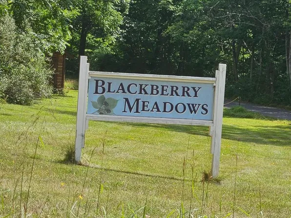 LOT 2 Blackberry Mdws, Address Paw Paw, WV 25434