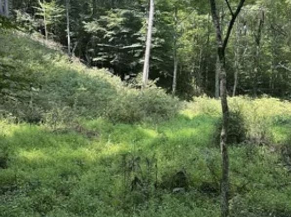 100 Pierce Hollar, Lester, WV 25865