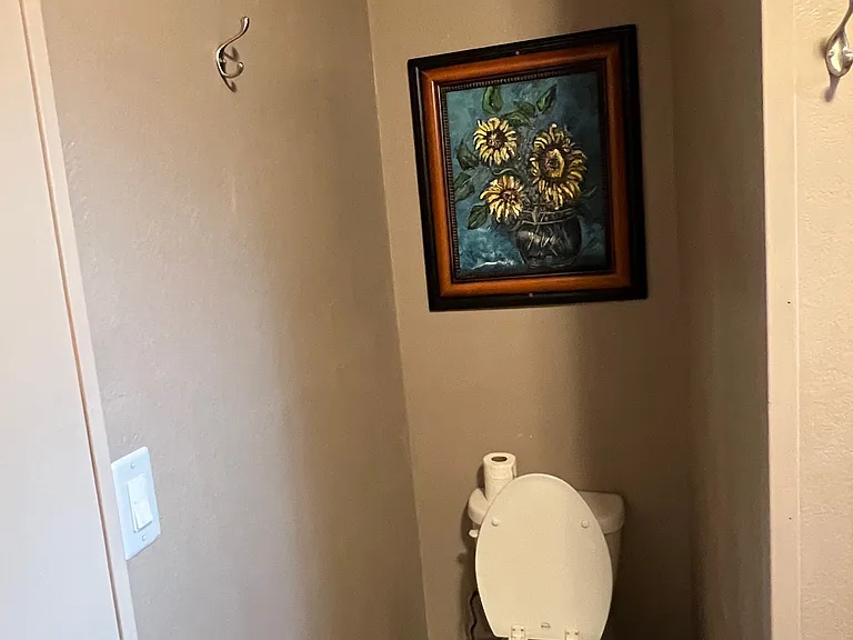 Toilet for Garage Bedroom