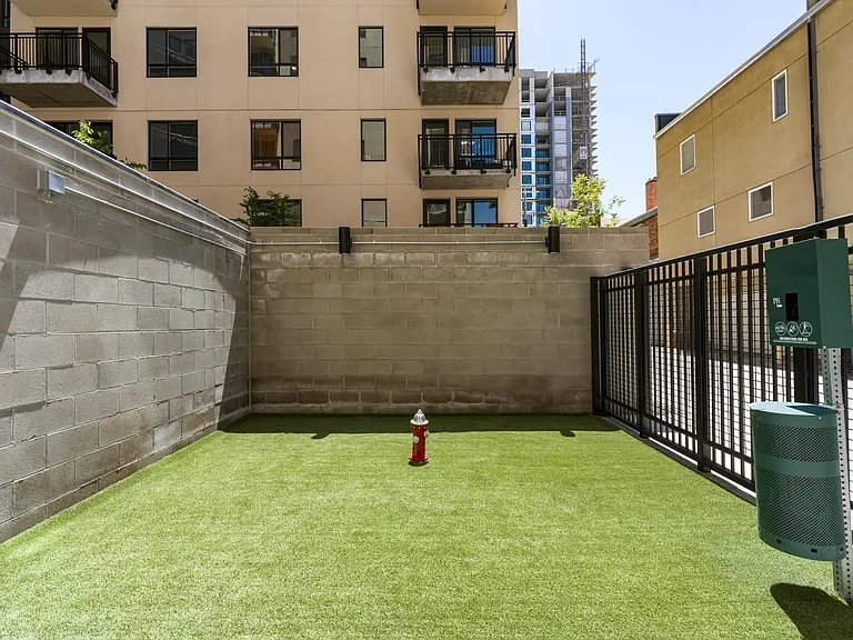 Our on-site dog park at Modera Golden Triangle is the perfect place for your furry friend to play and socialize.