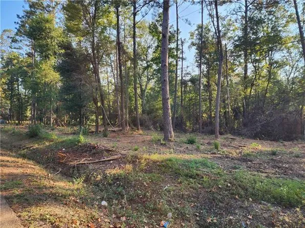 Vacant Land 1 B Old Uneedus Rd, Folsom, LA 70437