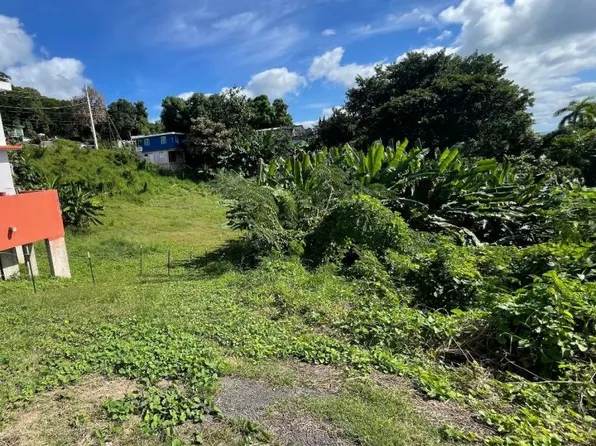 Bo Barrero Carr 429 Km 2.8 Solar #C, Rincon, PR 00677