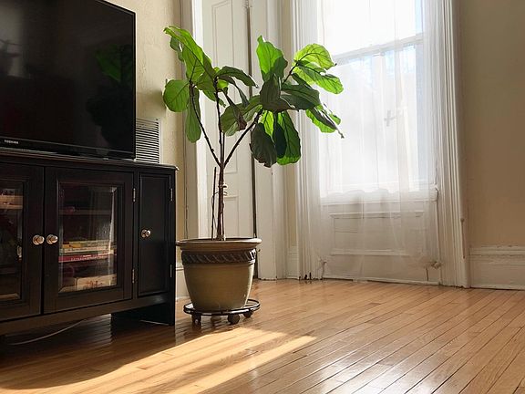 5th image of 27 Waverly St #2