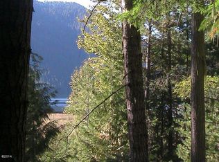 56 Tbd Bull Lake Road Hwy, Troy, MT 59935