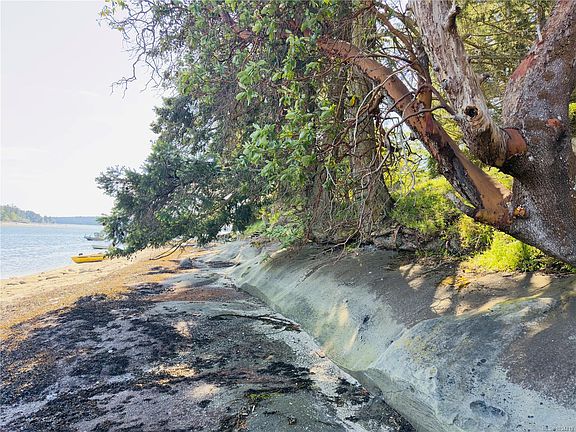 4th image of LOT 10 Driftwood Dr