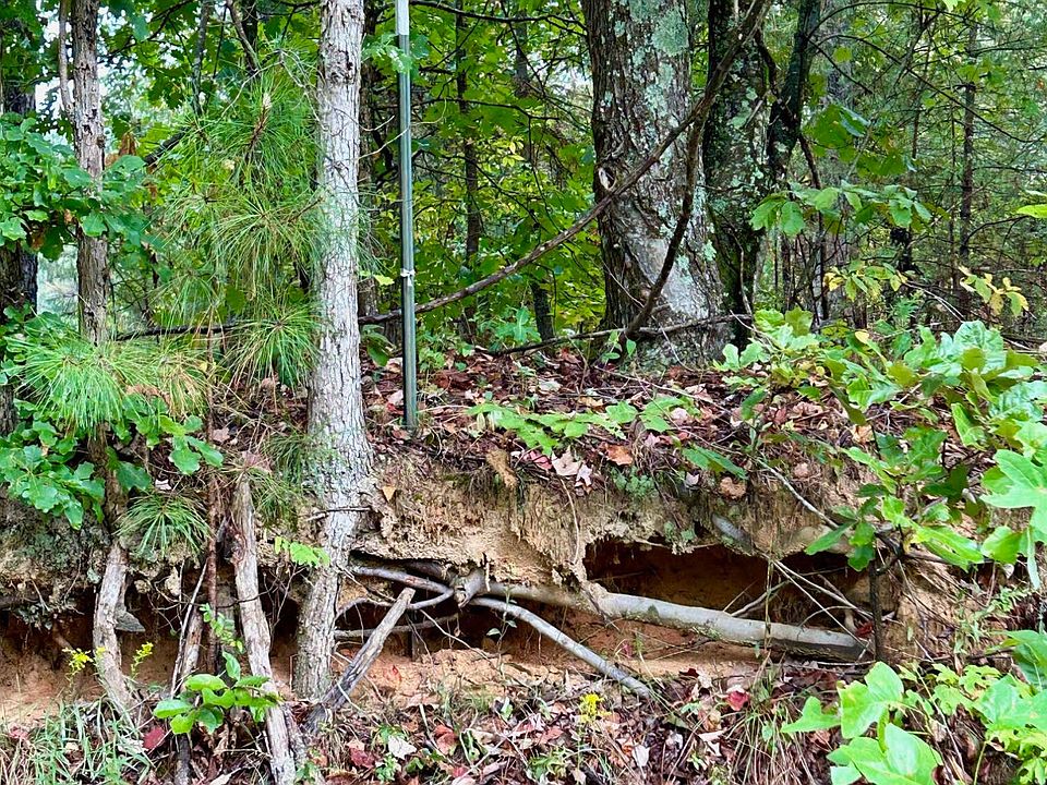 1st image of 0 County Road 609 Lot 4