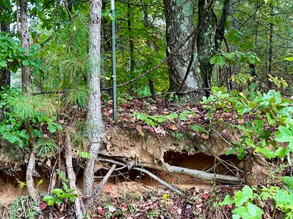 0 County Road 609 Lot 4, Etowah, TN 37331