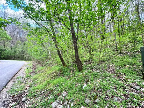 0 Lakeview Dr Lot 90, Smithville, TN 37166