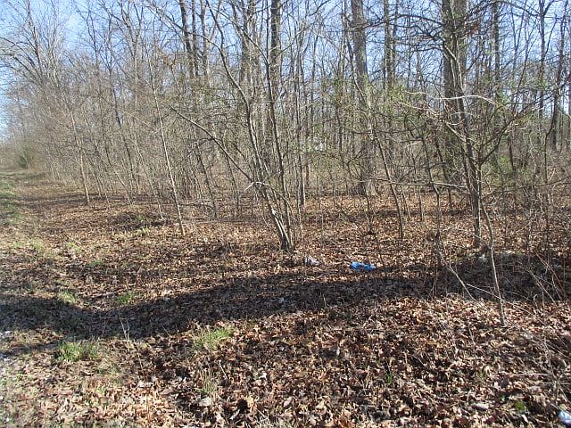 2nd image of 0 Olive Ave