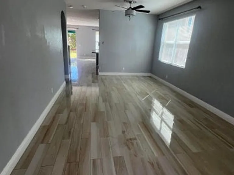 810 Palm Tree Ln — Photo 5