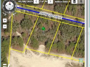 Snow Goose Ave, Weeki wachee, FL 34614