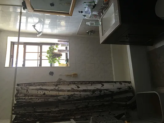 Rented by GreenBush Realty | media 10