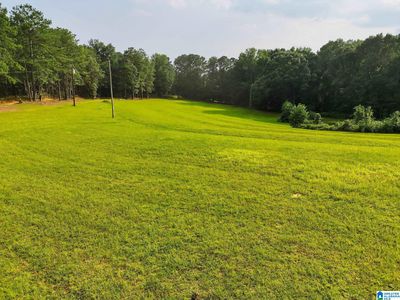 0 County Road 133 Lot 2, Jemison, AL, 35085