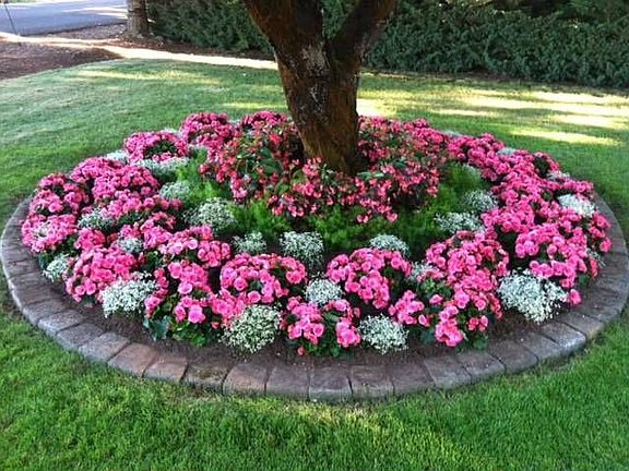 Large trees flowerbeds