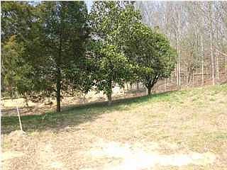 1st image of 846 NW Deer Run Ln #8
