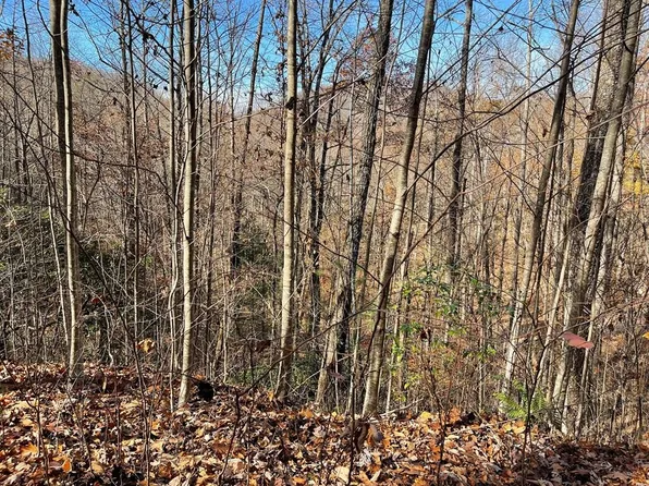 LOT-49J Indian Trl, Hayesville, NC 28904