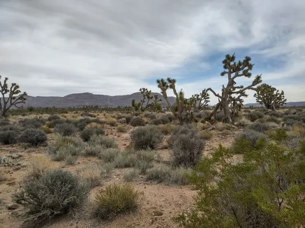 27402 N Peach Dr, Meadview, AZ 86444