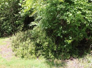 3041 Bills Creek Rd, Lake Lure, NC 28746