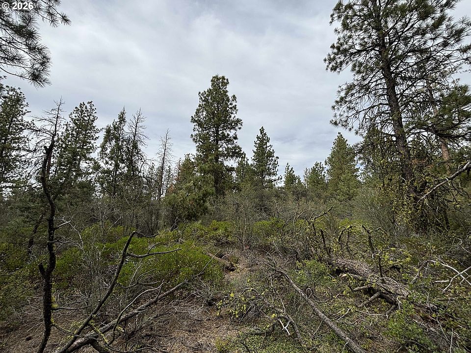 2nd image of Gibbon Ln