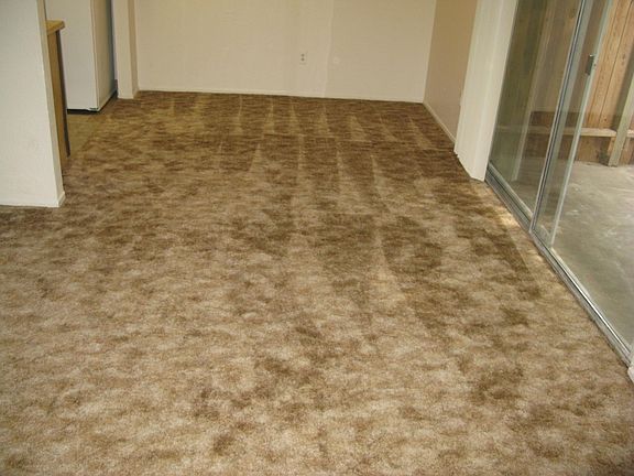 4th image of 254 Cleveland Ave APT 3
