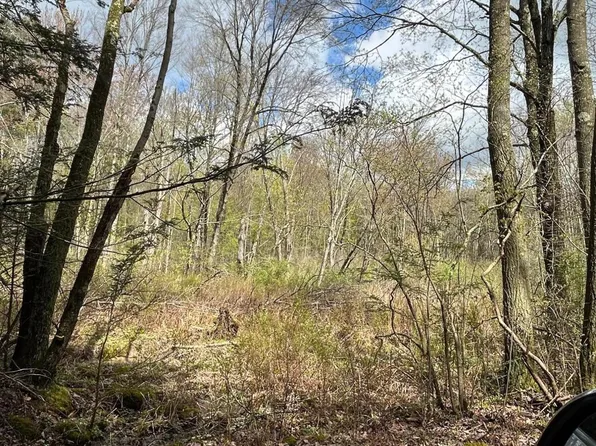 Route 107 Fleetville, Fleetville, PA 18420