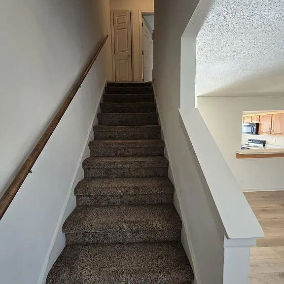 241 Tree Line Dr — Photo 12