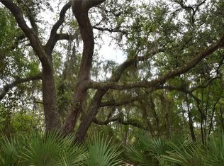 123 Meadow Dr #61, Georgetown, FL 32139