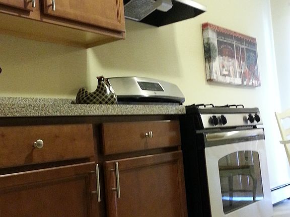 Newly renovated kitchens