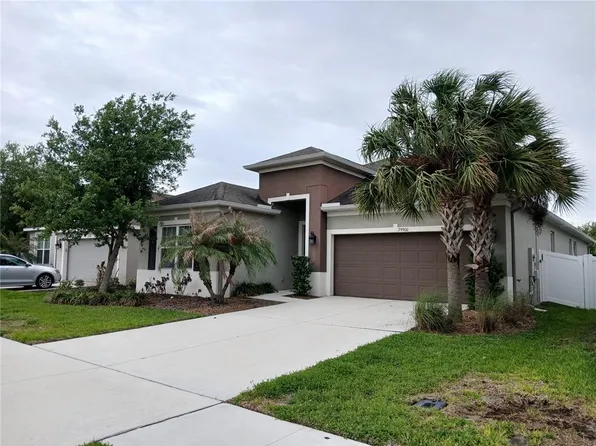 29900 Walsh Oak Dr, Wesley Chapel, FL 33545