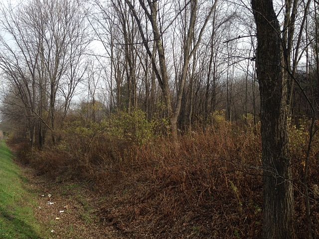 1st image of 14.4 New York State Route 22 Lot 2