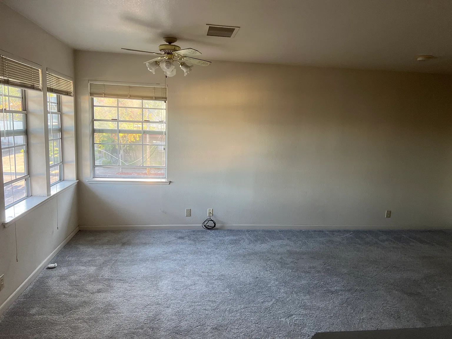 1 bed, 850 sqft, $1,250 — Photo 4